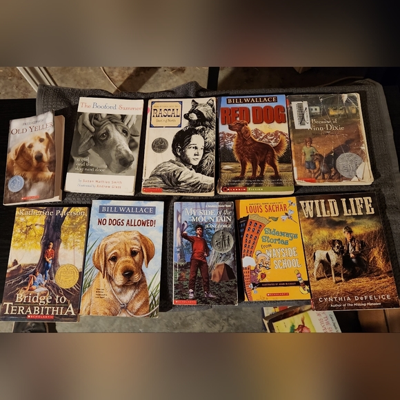 Teen books - Picture 1 of 1